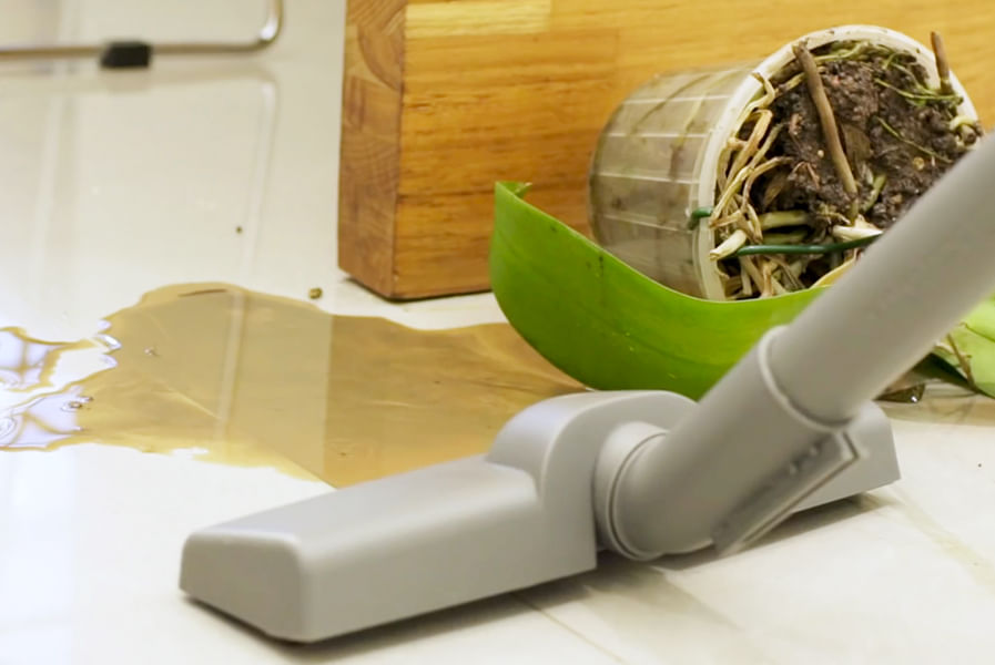 Aspirador de Água e Pó Flex Electrolux aspirando água no chão da sala