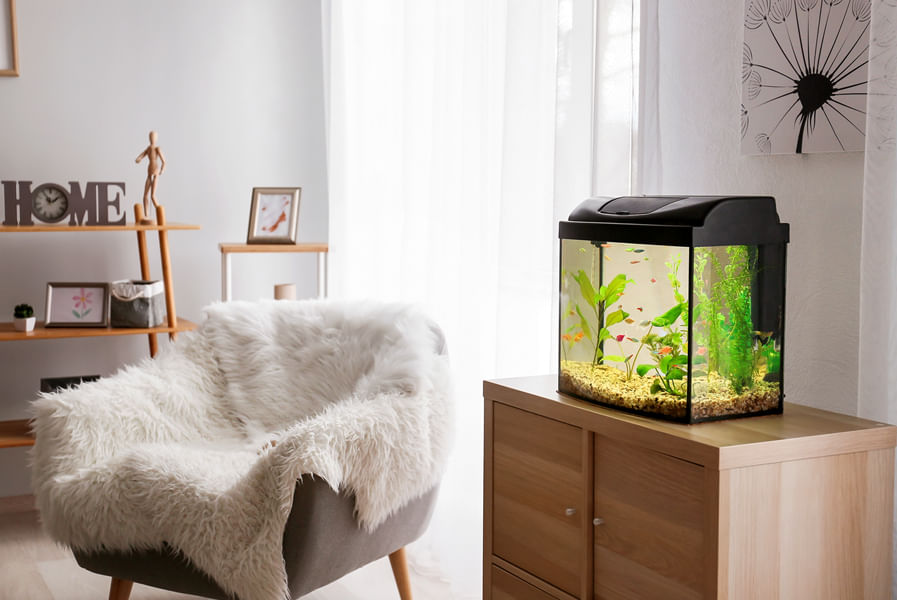 Sala de estar com aquário sobre armário