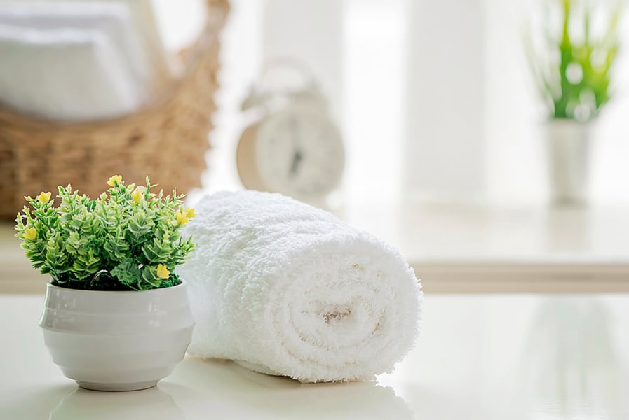 Detalhe de um banheiro com uma toalha enrolada e uma pequena planta em destaque